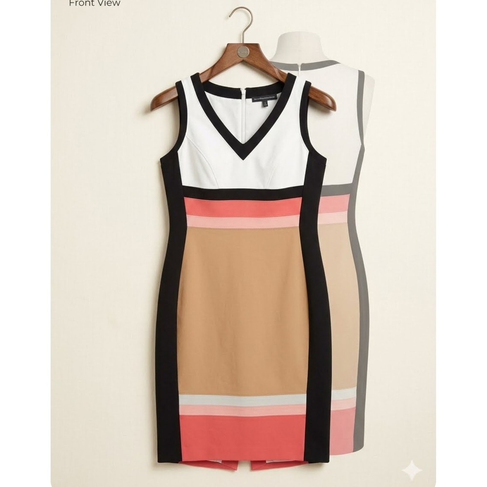 White House Black Market Colorblock Sheath Dress V-Neck Sleeveless Petite 4P